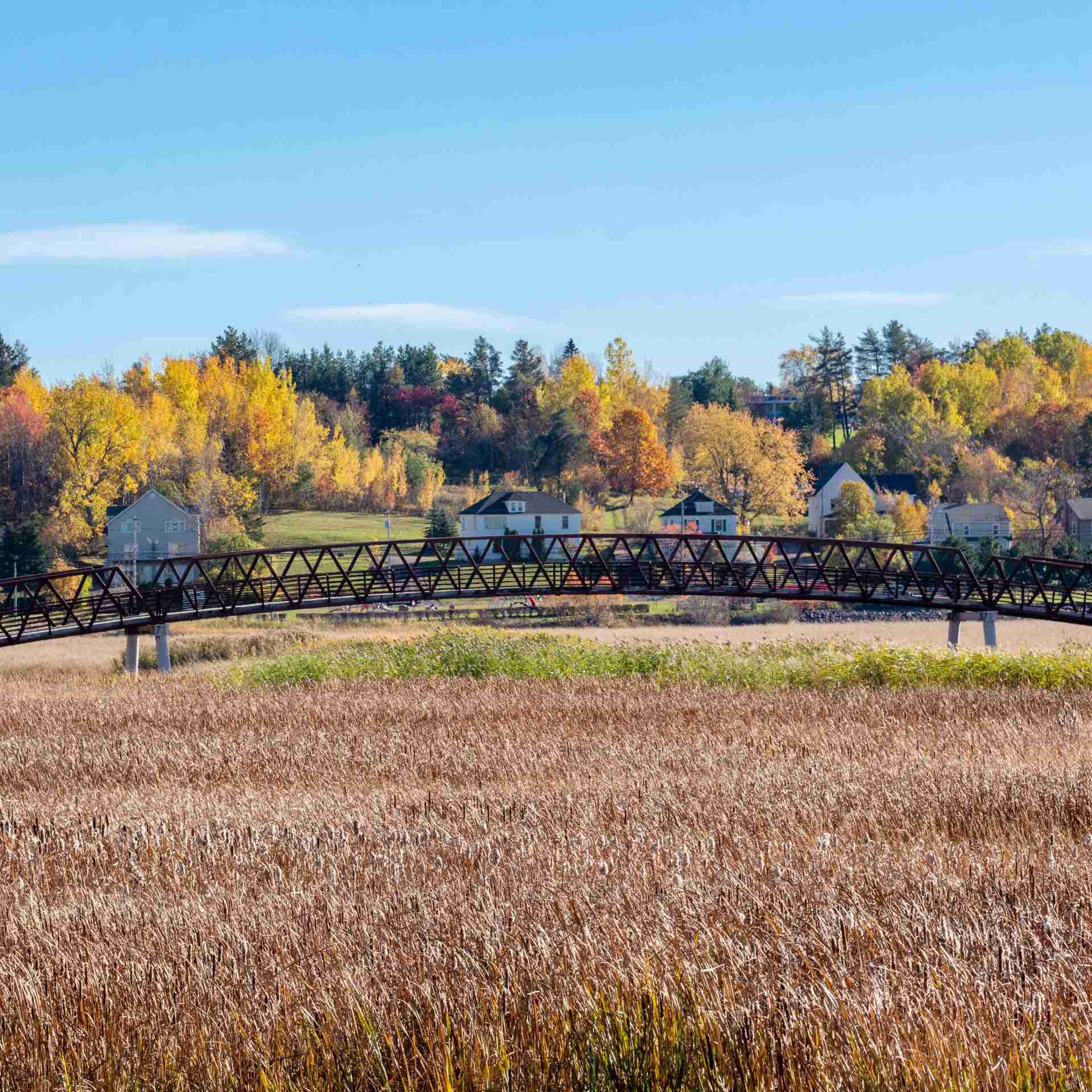 Gallery - bridge-houses