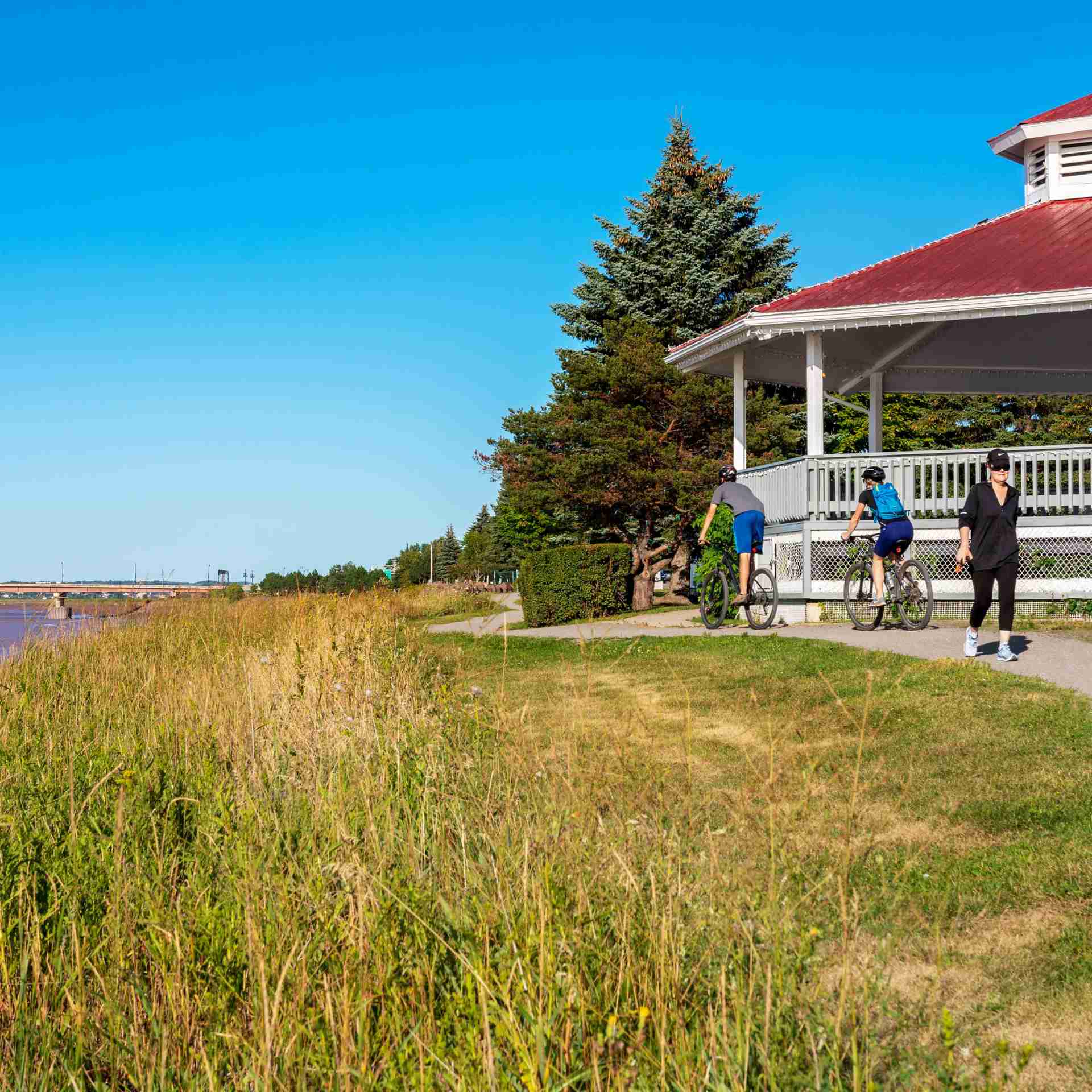 Gallery - trail-pavillion